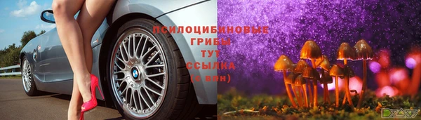 амф Новокубанск