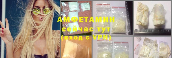 эйфоретик Няндома