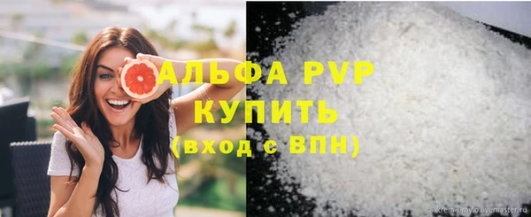 эйфоретик Няндома