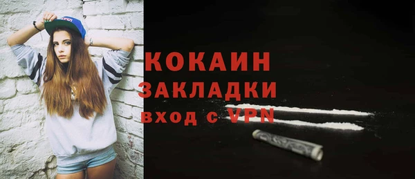 эйфоретик Няндома