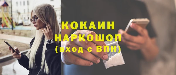 стаф Верея