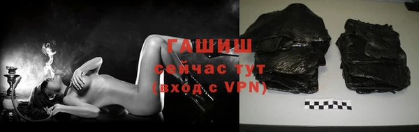 эйфоретик Няндома