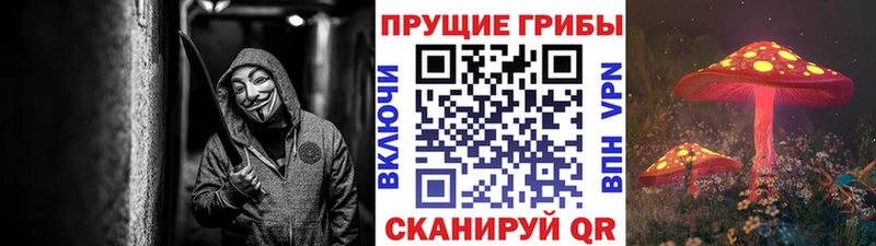 маркетплейс Telegram  Игарка  Галлюциногенные грибы GOLDEN TEACHER  блэк спрут  
