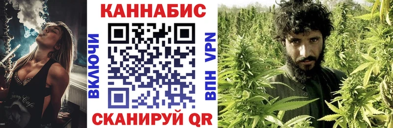 Бошки Шишки планчик  Игарка 